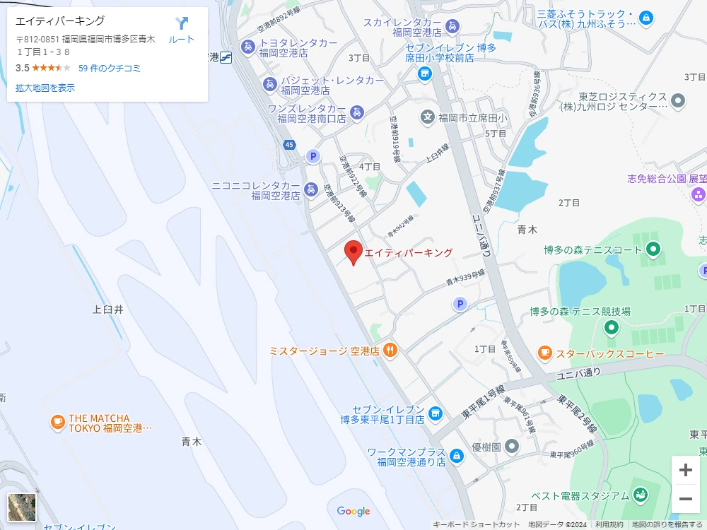 Google Map Screenshot
